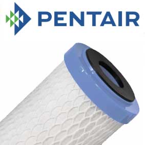 EPM-10 : PENTAIR Carbon Block Filter 10 micron 9 3/4