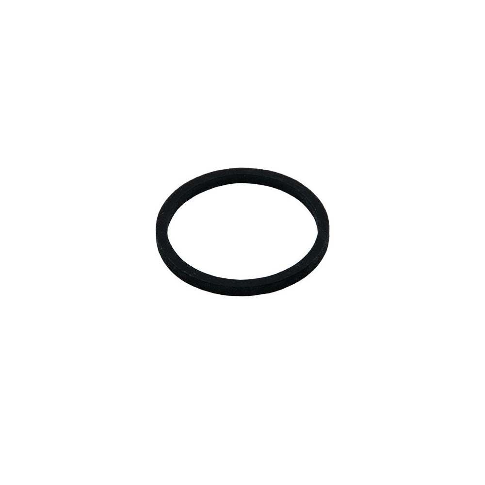 Testomat Flat Gasket 24x2 EPDM 70 (33777) | GAPS Water Treatment