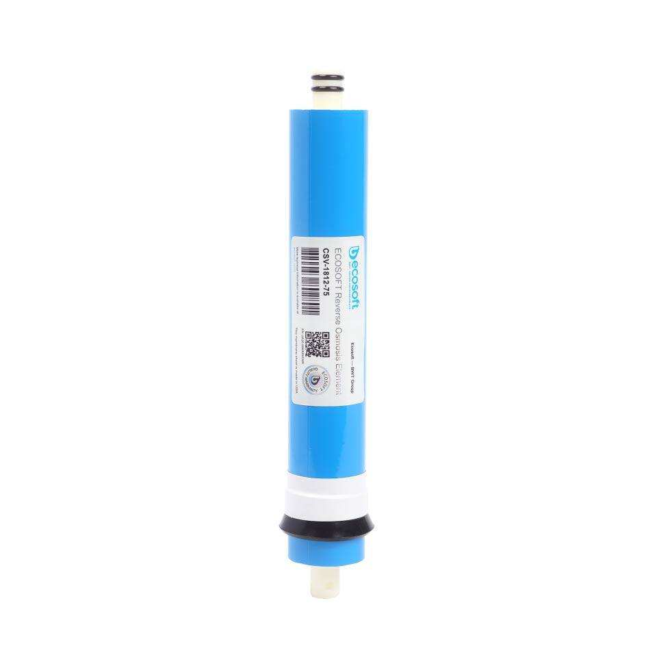 Ecosoft 75 GPD membrane element | Available at GAPS Water Treatment