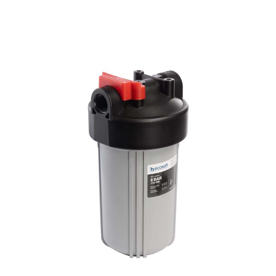 Ecosoft Big Blue 4.5"x10" in-line water filter for home water purification and plumbing protection