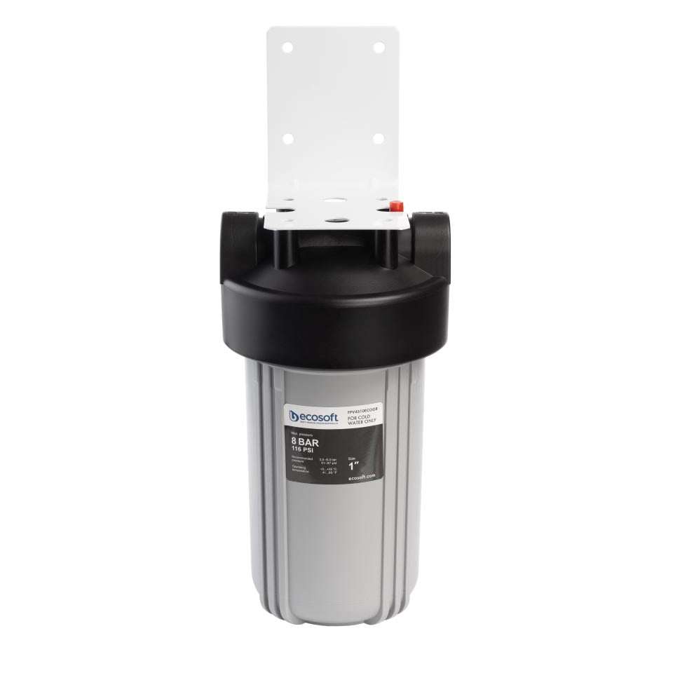 Ecosoft Big Blue 4.5x10 in-line water filter for home water purification and plumbing protection