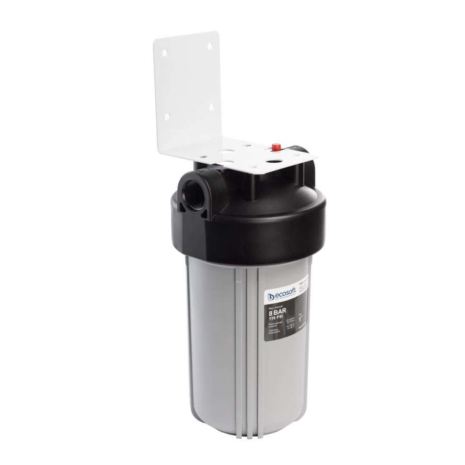 Ecosoft Big Blue 4.5x10 inch in-line water filter for home water purification