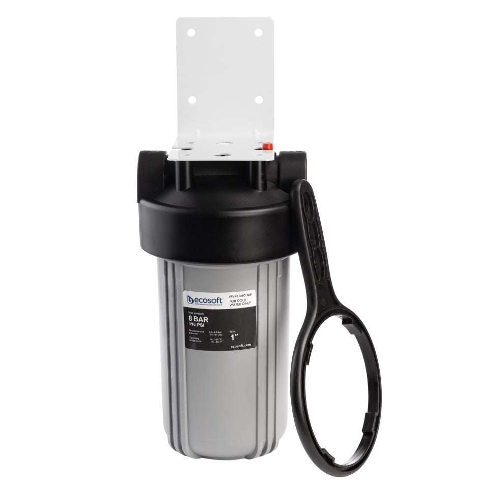 Ecosoft Big Blue 4.5"x10" in-line water filter for home water purification and plumbing protection