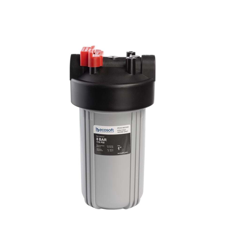 Ecosoft Big Blue 4.5x10 in-line water filter for home water purification and plumbing protection