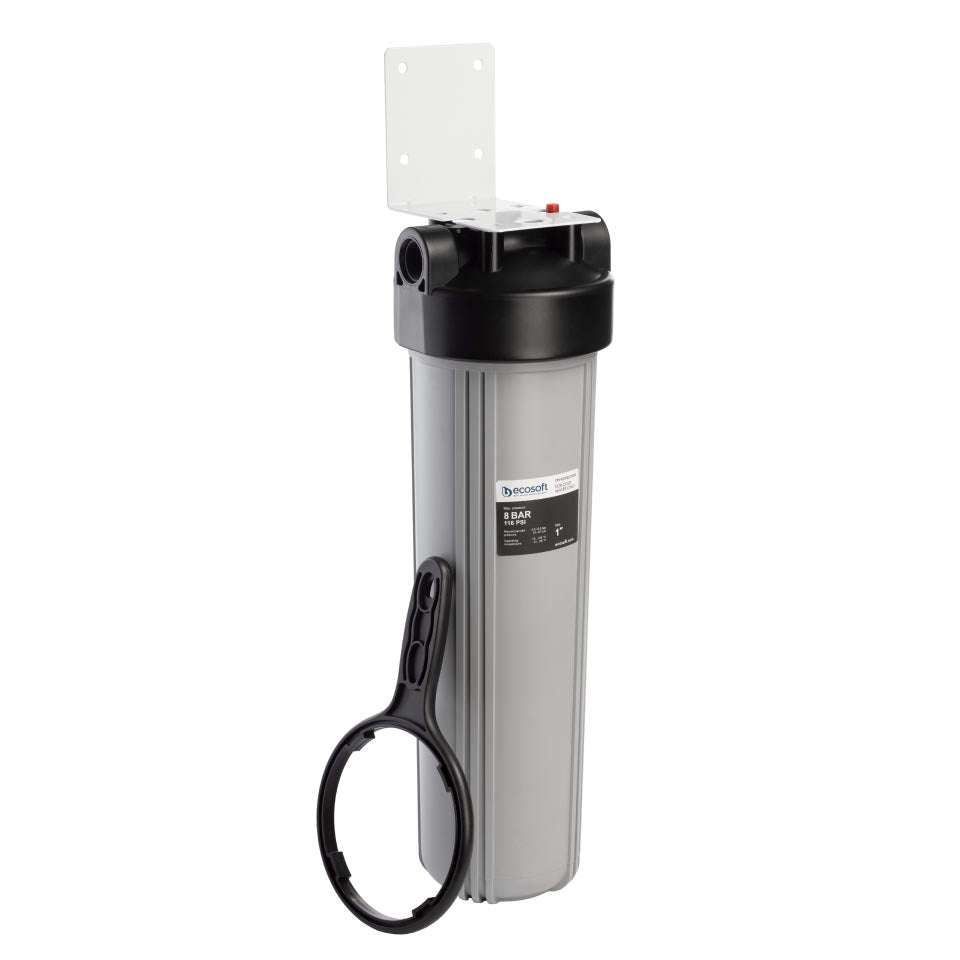 Ecosoft Big Blue 4.5"x20" water filter housing with activated carbon filter for whole-home filtration