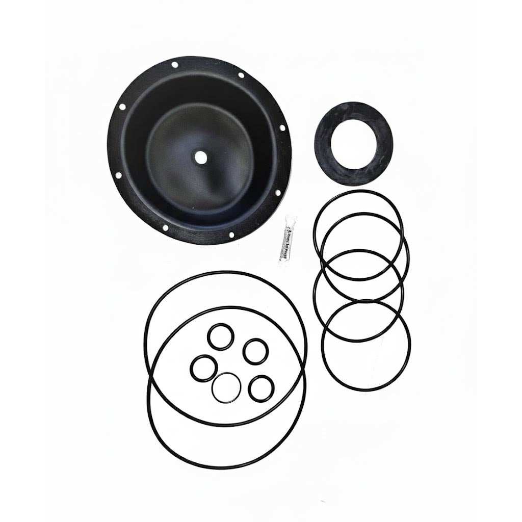 Diaphragm and seals kit, K537-RAE Diaphragm & Seals Kit K537 EPDM, with black rubber diaphragm and assorted rings.