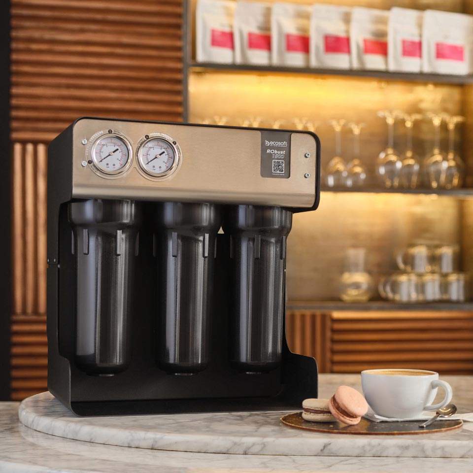 Ecosoft RObust 1500 reverse osmosis filter 90 LPH | GAPS Water