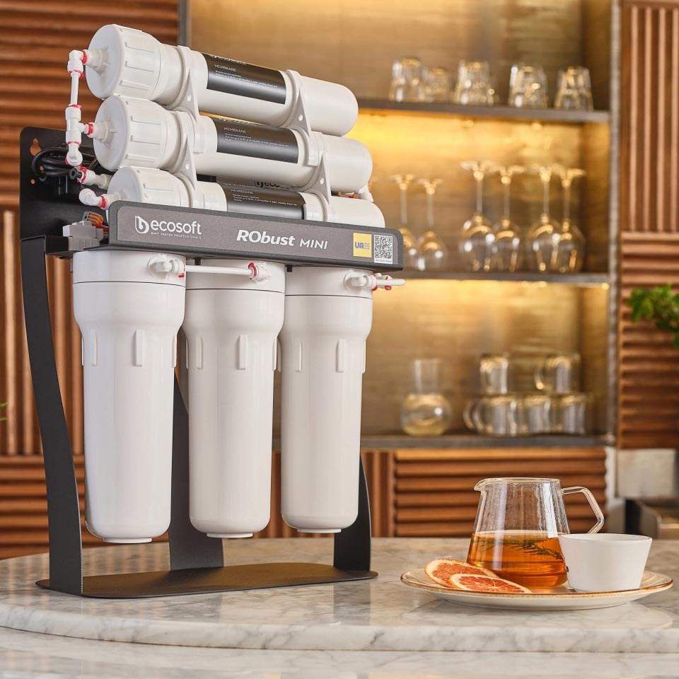 Ecosoft RObust Mini reverse osmosis filter 60 LPH | GAPS Water