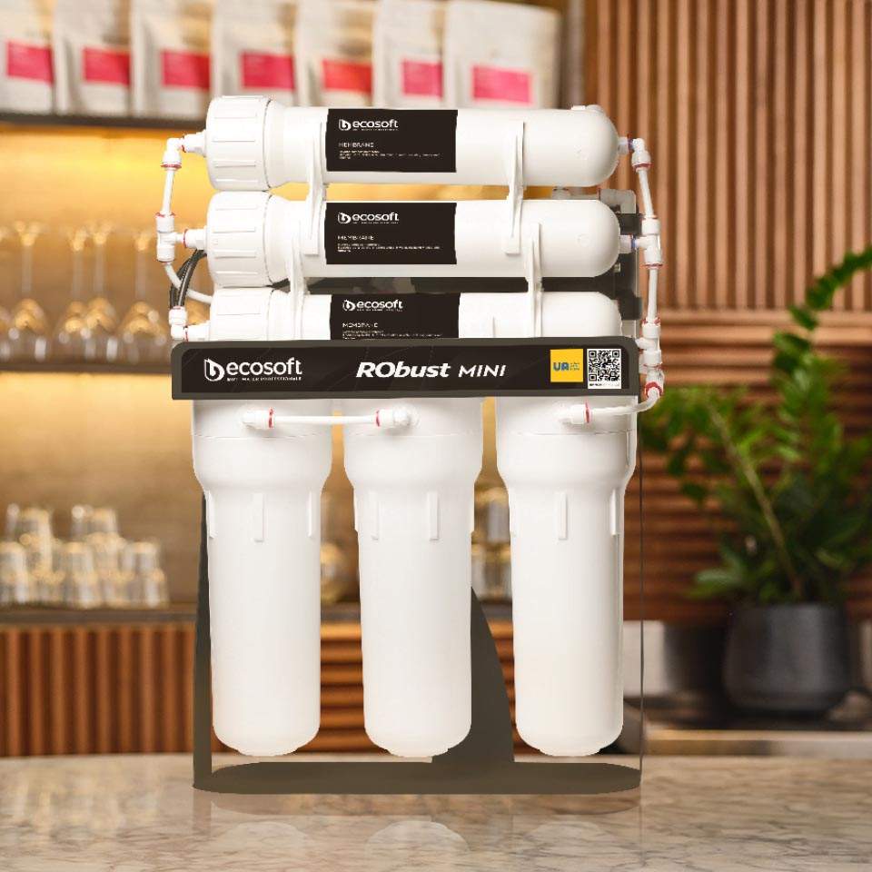 Ecosoft RObust Mini reverse osmosis filter 60 LPH | GAPS Water
