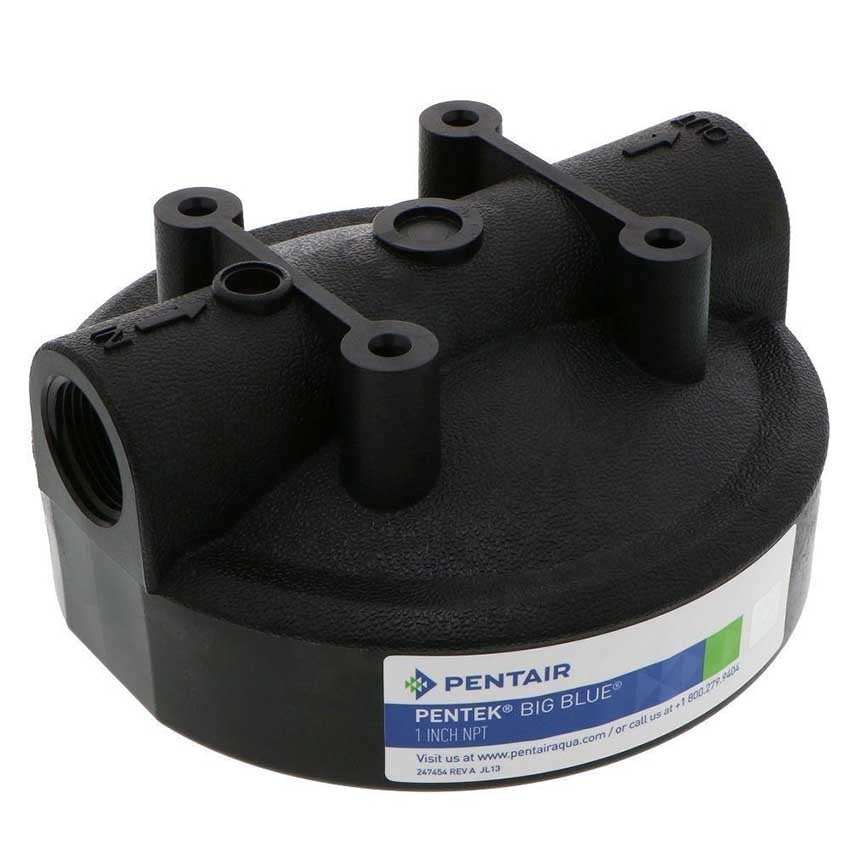 BBHEADWO/PR11/2 : PENTAIR Big Blue Housing Head 1 1/2" BSP Without Pressure Release 154086