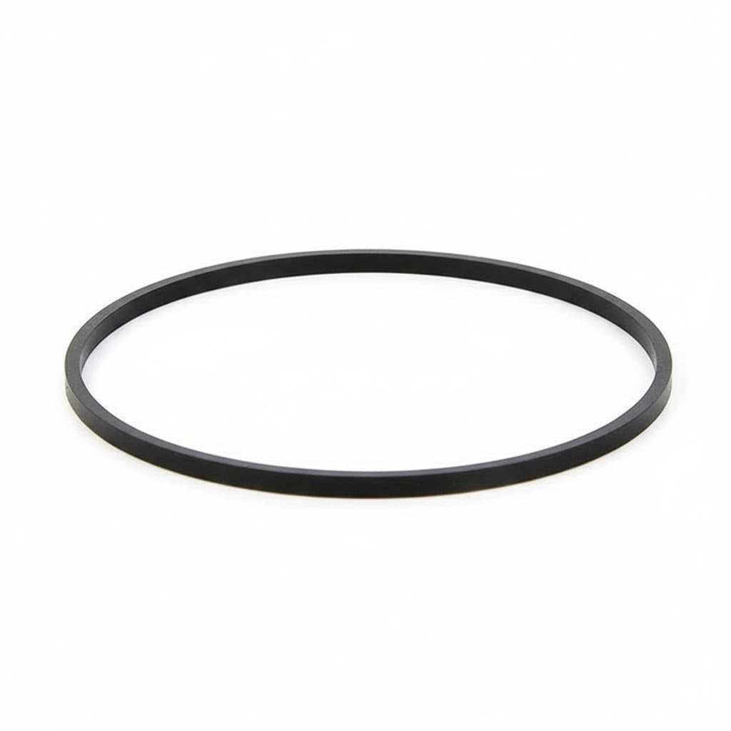 Pentair 10" Clear Large Diameter Housing O-Rings (Square Cross Section)