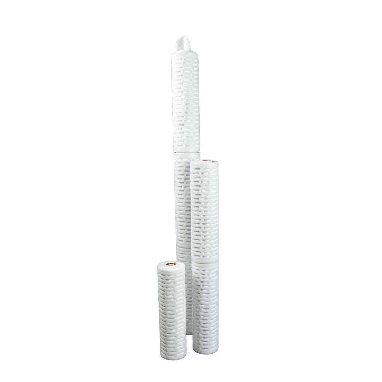 SPECTRUM CP CRYPTO Cryptosporidium Pleat GF Filter