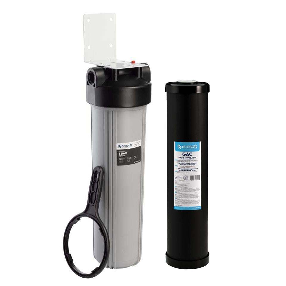 Ecosoft Big Blue 4.5x20 inch water filter housing with activated carbon filter and 1-inch connection