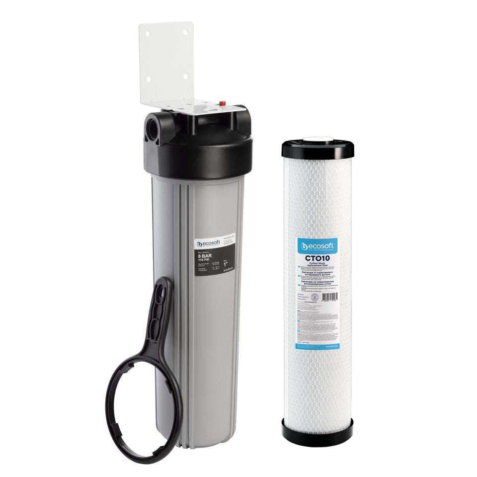 Ecosoft Big Blue 4.5x20 housing with coconut shell carbon block filter for whole-home water purification