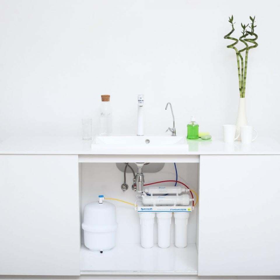 Ecosoft STANDARD PRO RO System | Available at GAPS Water Treatment