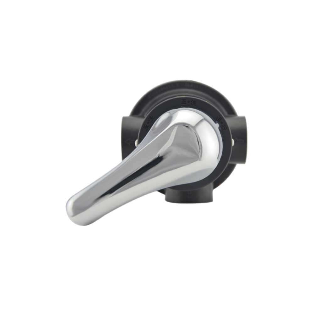 Manual Backwashing Head 3/4" BSP (F56E2 51202)