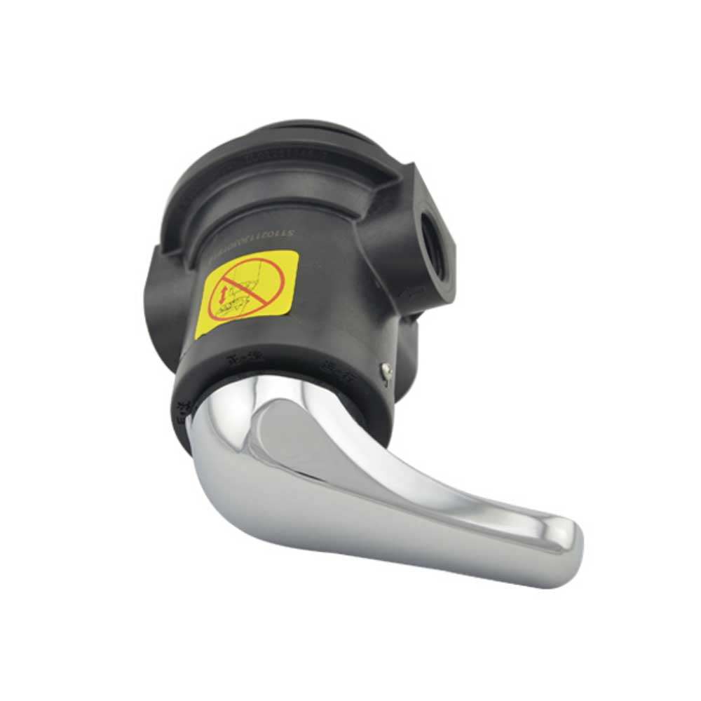 Manual Backwashing Head 3/4" BSP (F56E2 51202)