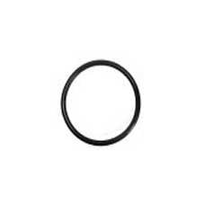 Fleck 13304 - Riser O-Ring | GAPS Water Treatment