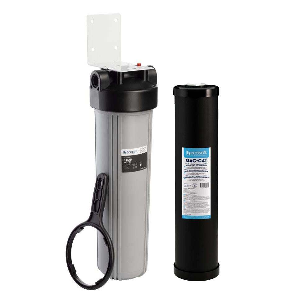 Ecosoft Big Blue 4.5"x20" housing with hydrogen sulphide reduction filter, 5 LPM, 1"