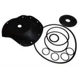 K524-RAV Diaphragm & Seals Kit K524 Viton | GAPS Water Treatment