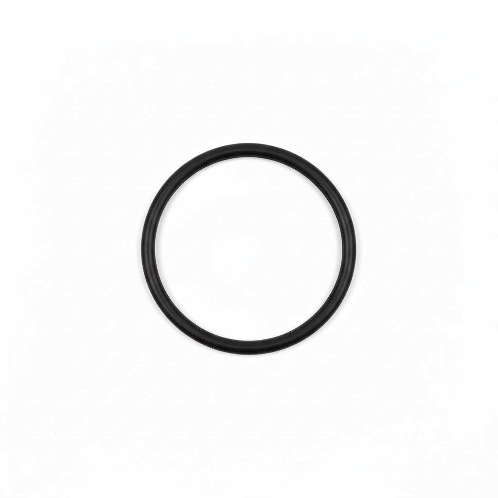 Fleck 13304 - Riser O-Ring