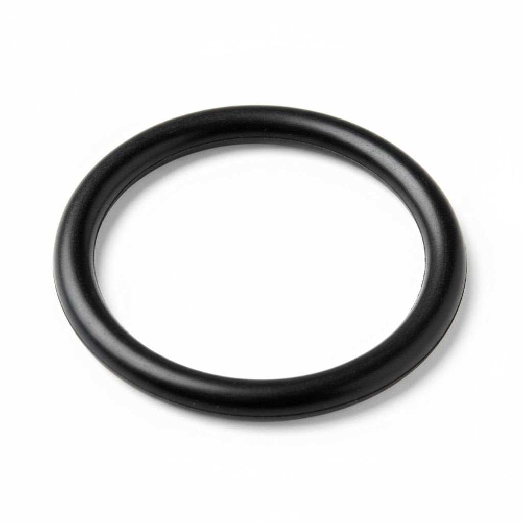 Clack V3287 O-ring, a thick black rubber ring with a smooth, rounded profile for sealing water treatment components.