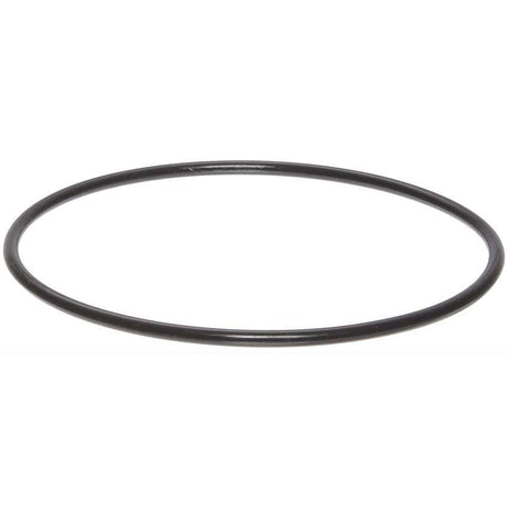 Watts Big Bubba Filter Housing Lid O-Ring BB-ORING-E 68100619 | GAPS Water Treatment