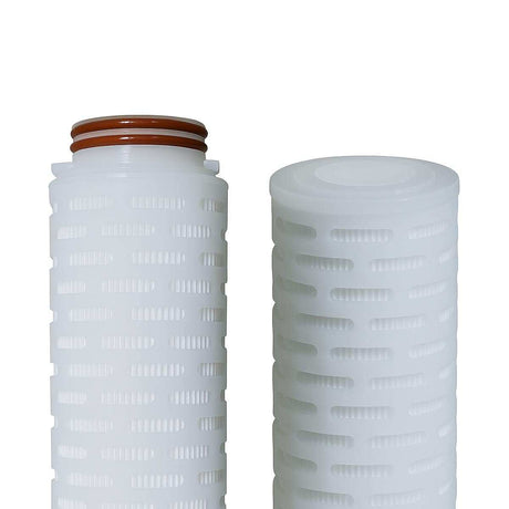 SPECTRUM PPPES Premier Pleat Polyethersulfone (PES) Filter | At GAPS