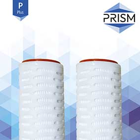 FC-SPPES-0.1-R10-1S-M    PRISM MAX RANGE :  Pleat PES Filter 0.1 micron 93/4'' DOE/Silicone Gaskets