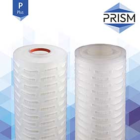 FC-SPGF-0.45-R10-9S-P    PRISM PLUS RANGE :  Pleated GF Filter 0.45 micron 10