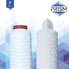 FC-SPPES-0.1-R30-8S-M    PRISM MAX RANGE :  Pleat PES Filter 0.1 micron 30