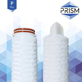 FC-SPGF-0.45-R20-7S-P    PRISM PLUS RANGE :  Pleated GF Filter 0.45 micron 20
