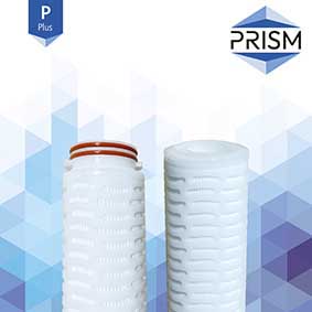 FC-SPPES-0.1-R20-2S-M    PRISM MAX RANGE :  Pleat PES Filter 0.1 micron 20
