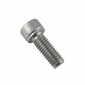 Fleck 21361SP Screw TCHCM 8x16 | Available at GAPS Water Treatment