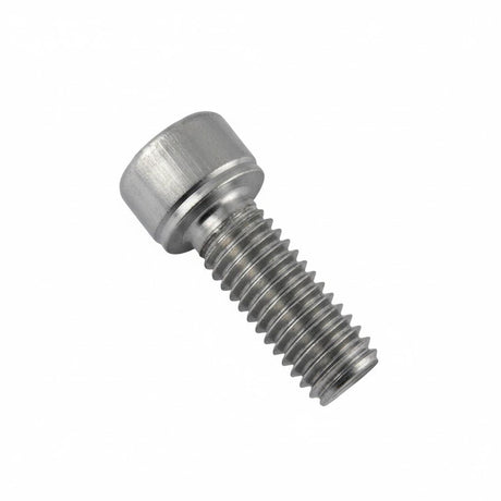 Fleck 21361SP Screw TCHCM 8x16 | Available at GAPS Water Treatment