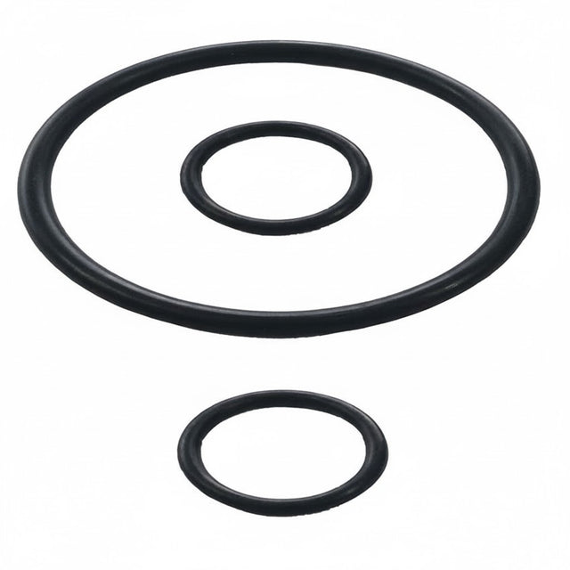 Fleck 29152 Kit O-rings tank adapter 5800/5000/9100/2510