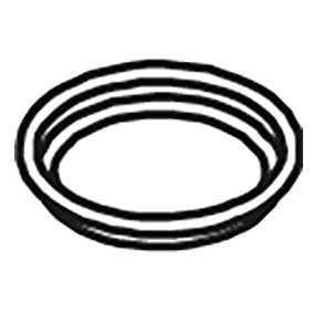 Fleck 29222 Kit O-Rings for Spacer Assembly Connecting Tube 9500 | GAPS Water Treatment
