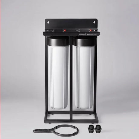 Ecosoft Aquapoint XL Duo whole house water filter with dual-filtration system and heavy-duty steel rack for clean water in small homes and cottages