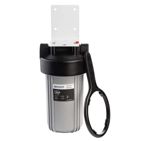Ecosoft Big Blue 4.5"x10" in-line water filter for home water purification and plumbing protection