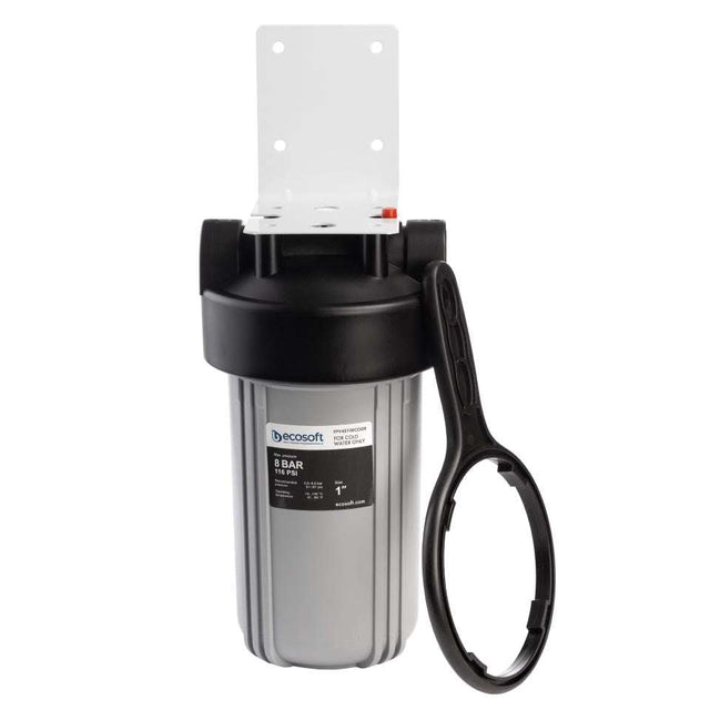Ecosoft Big Blue 4.5"x10" in-line water filter for home water purification and plumbing protection