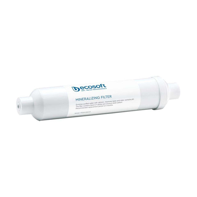 Ecosoft mineralizing postfilter for RO filter | GAPS Water Treatment