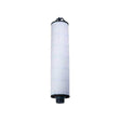 Watts Big Bubba Pleated 1 Micron Filter BBC-150-P1 68100630 | GAPS