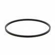 Pentair 10" Clear Large Diameter Housing O-Rings (Square Cross Section)