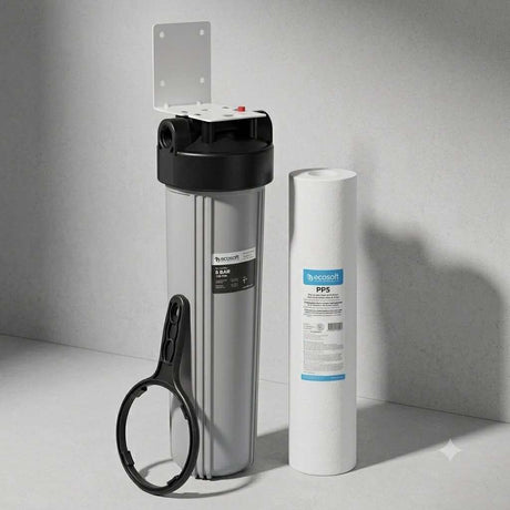 Ecosoft 5 Micron Sediment Filter with 20-inch large diameter housing and 1-inch BSP for effective water purification