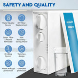 Ecosoft CROSS 60 Direct Flow RO System