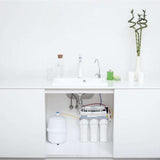 Ecosoft STANDARD PRO RO System with Pump