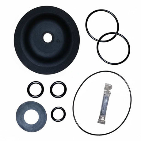 K531-RAV Diaphragm & Seals Kit K531 Viton