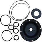 K534-RAE Diaphragm & Seals Kit K534 EPDM | GAPS Water Treatment