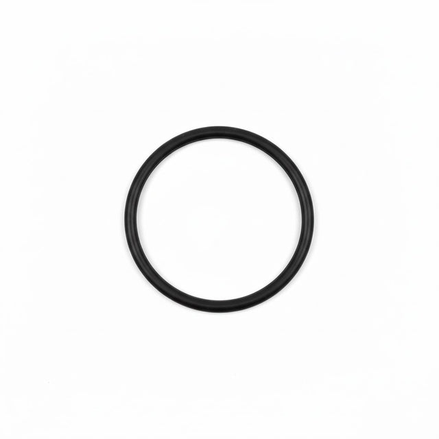 Fleck 13304 - Riser O-Ring