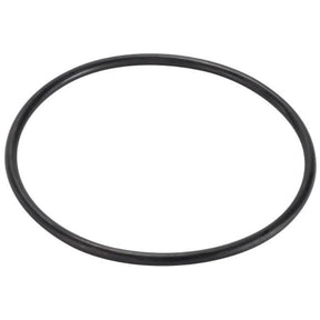Cintropur Bowl O-Ring NW500/650/800 | GAPS Water Treatment